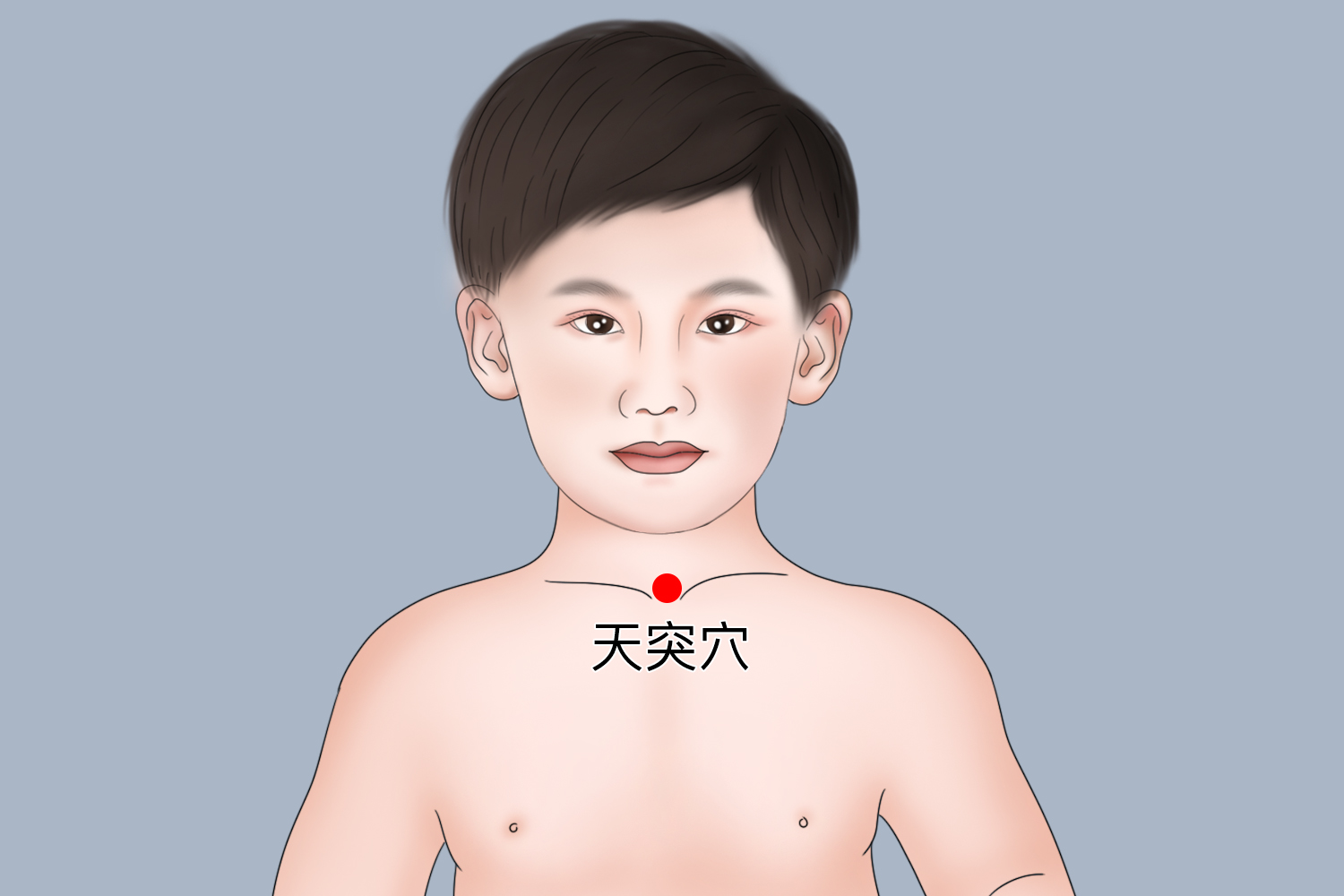 宝宝天突穴位置图