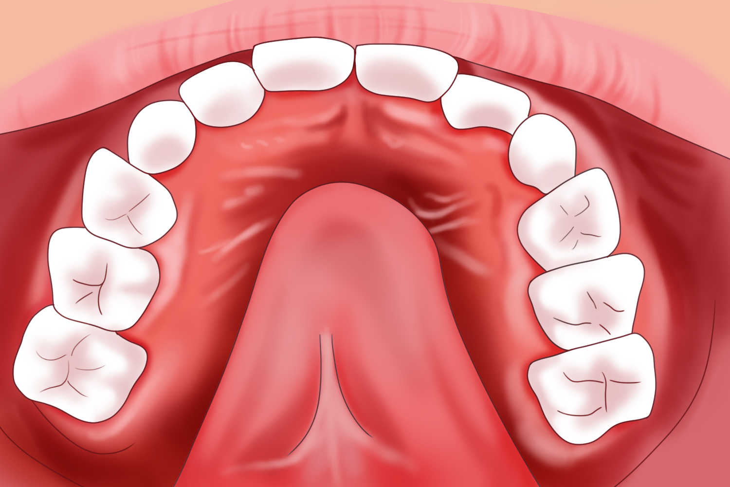 舌抵上腭位置图 舌抵上腭位置图