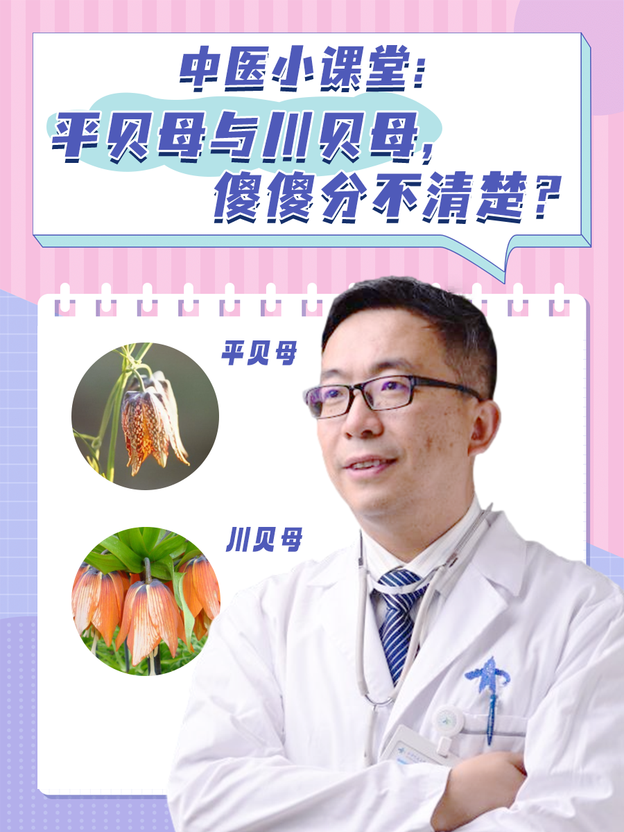 中医小课堂：平贝母与川贝母，傻傻分不清楚？