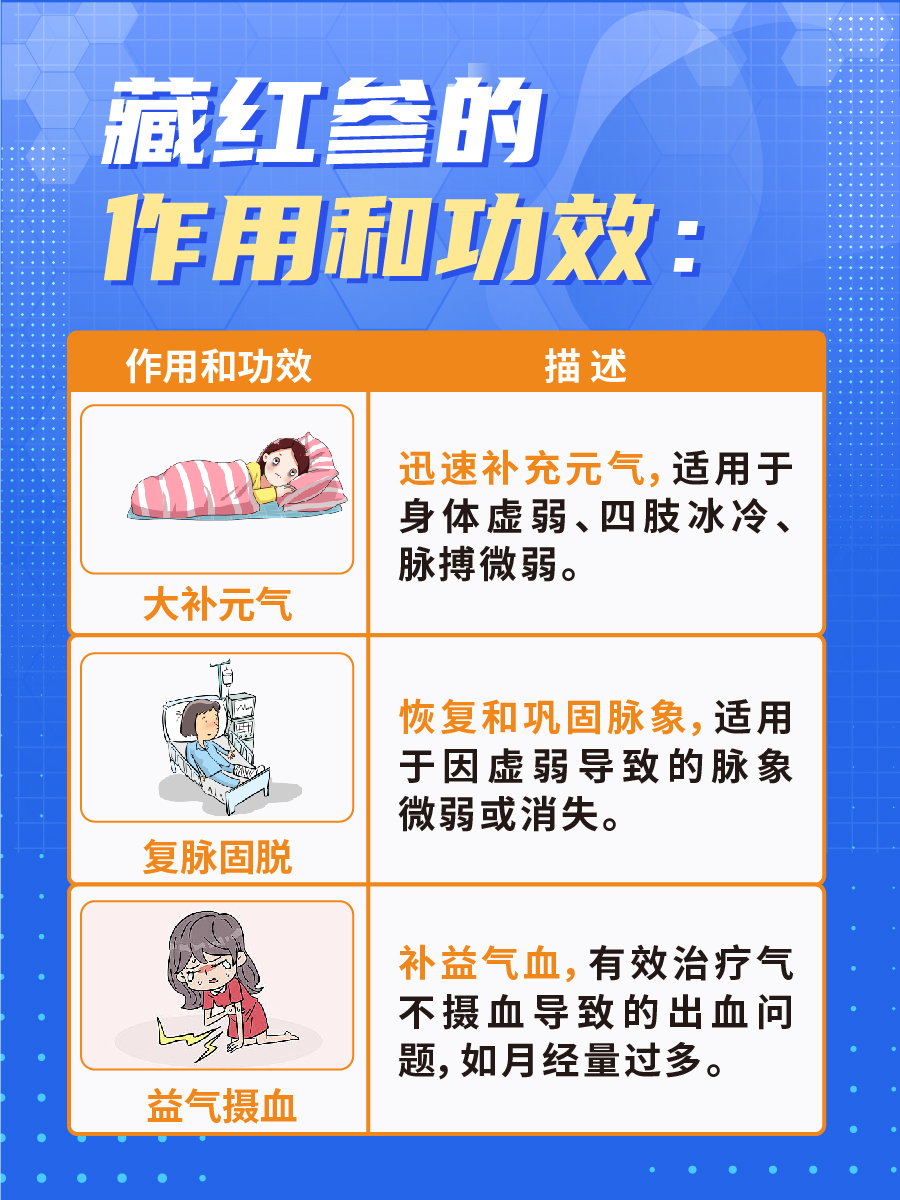 速度戳：藏红参有什么作用和功效？