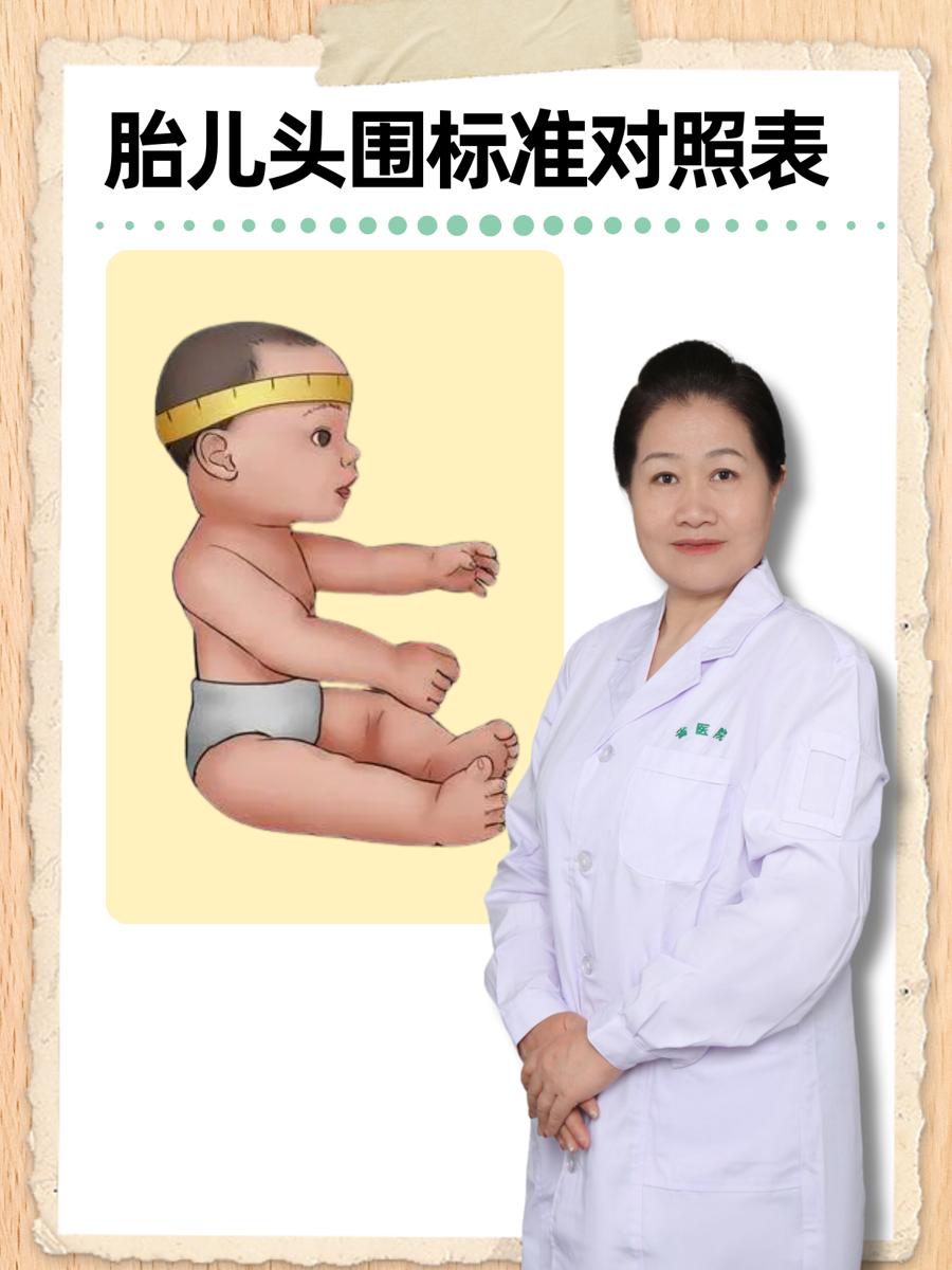 胎儿头围标准对照表