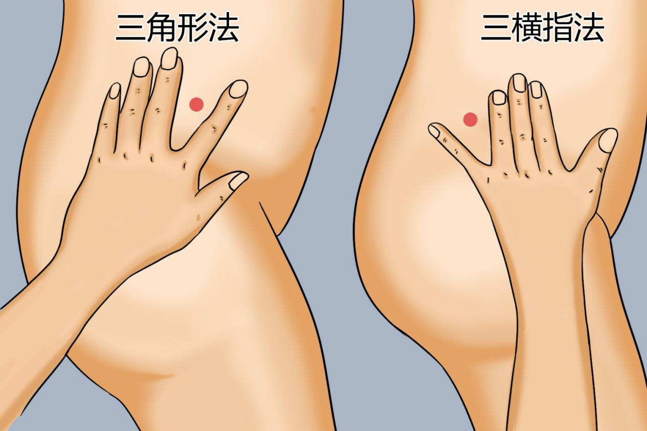 儿童臀中肌注射、臀小肌注射位置图