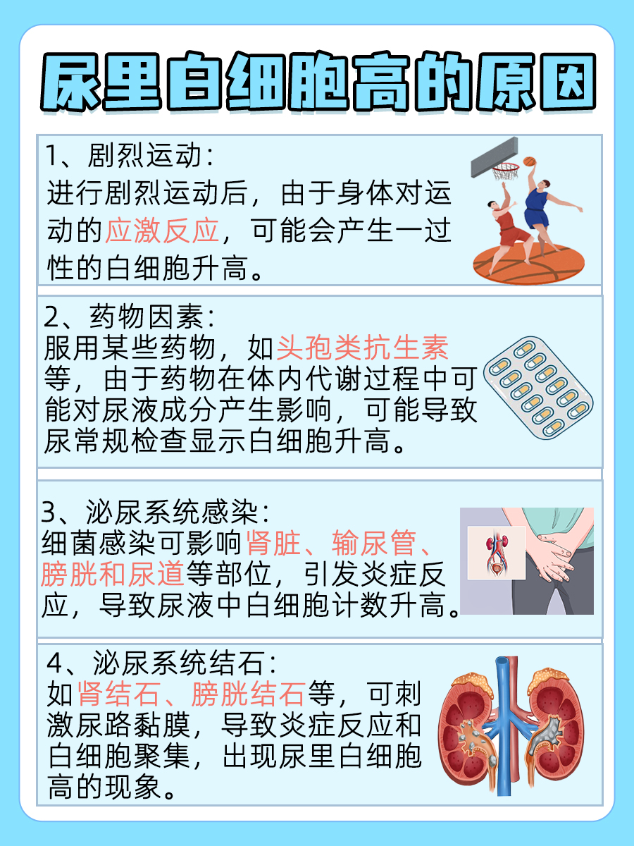 尿里白细胞高是什么原因？医生告诉你！