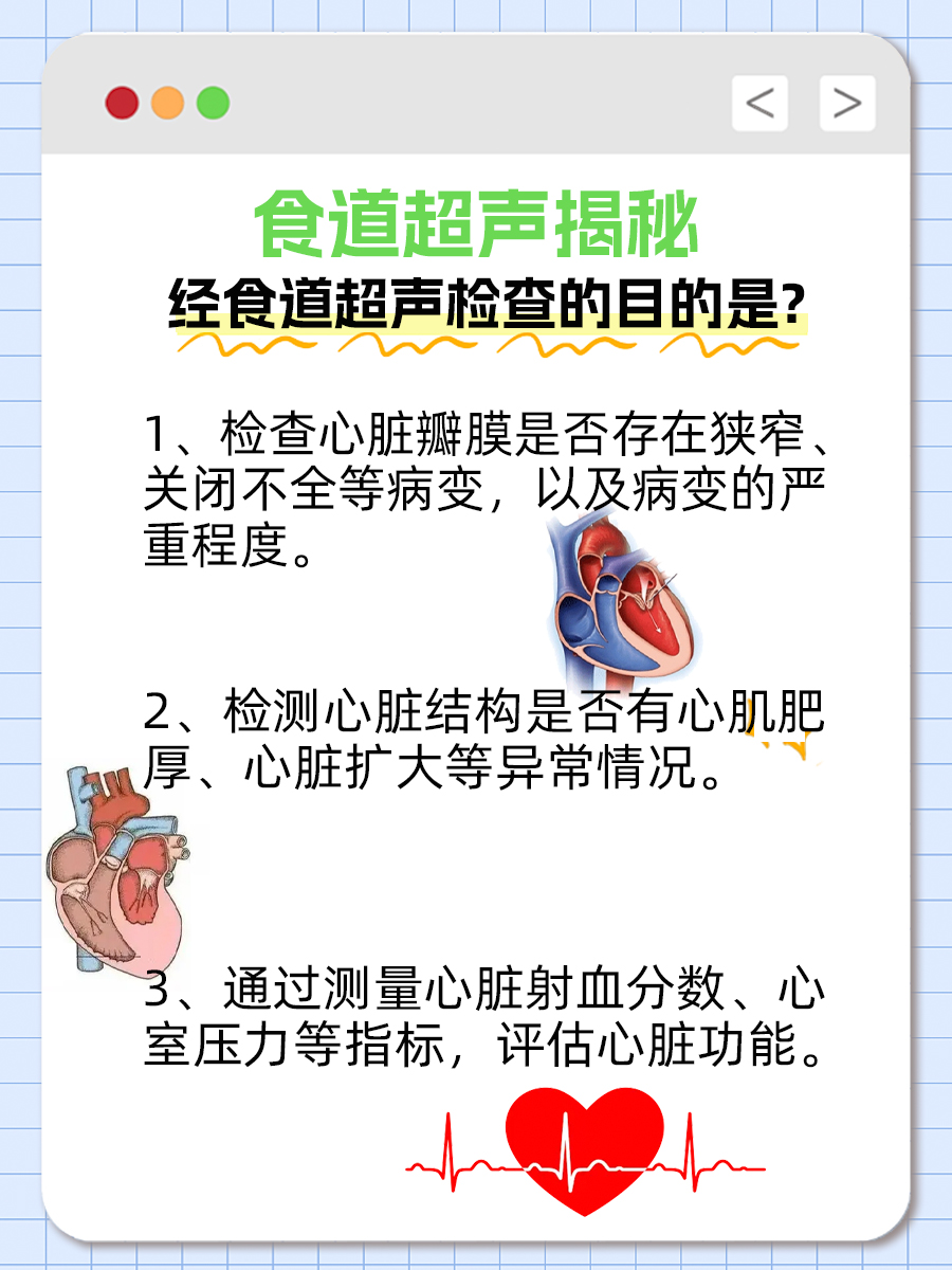 食道超声揭秘：经食道超声检查的目的是?