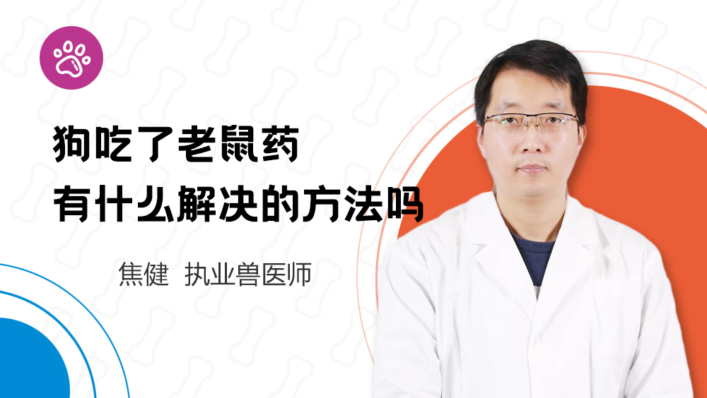 狗吃了老鼠藥有什麼解決的方法嗎_寵物科普視頻-泰能寵