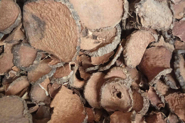 野生黄药子中药图 野生黄药子中药图