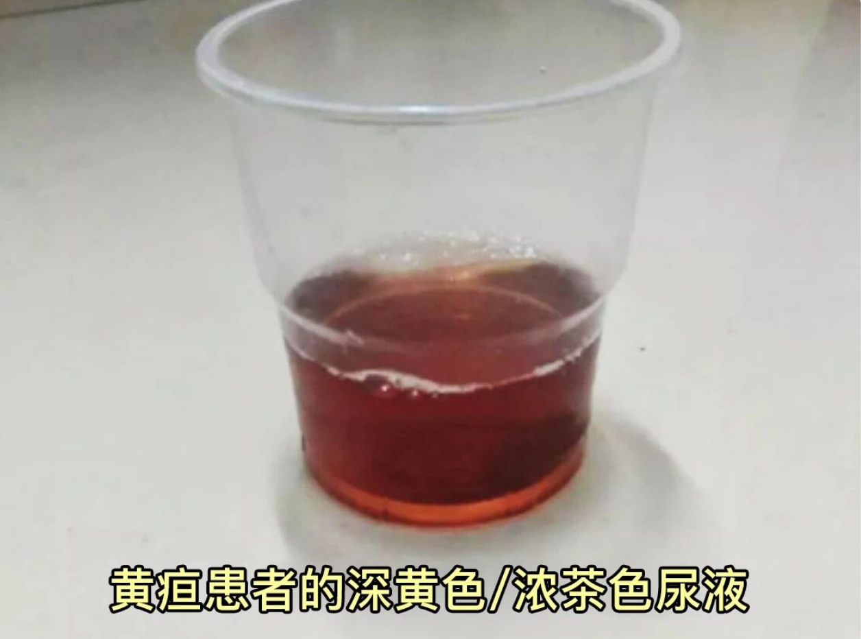 0e580379-a61f-44b7-8397-932e2a359c63.png