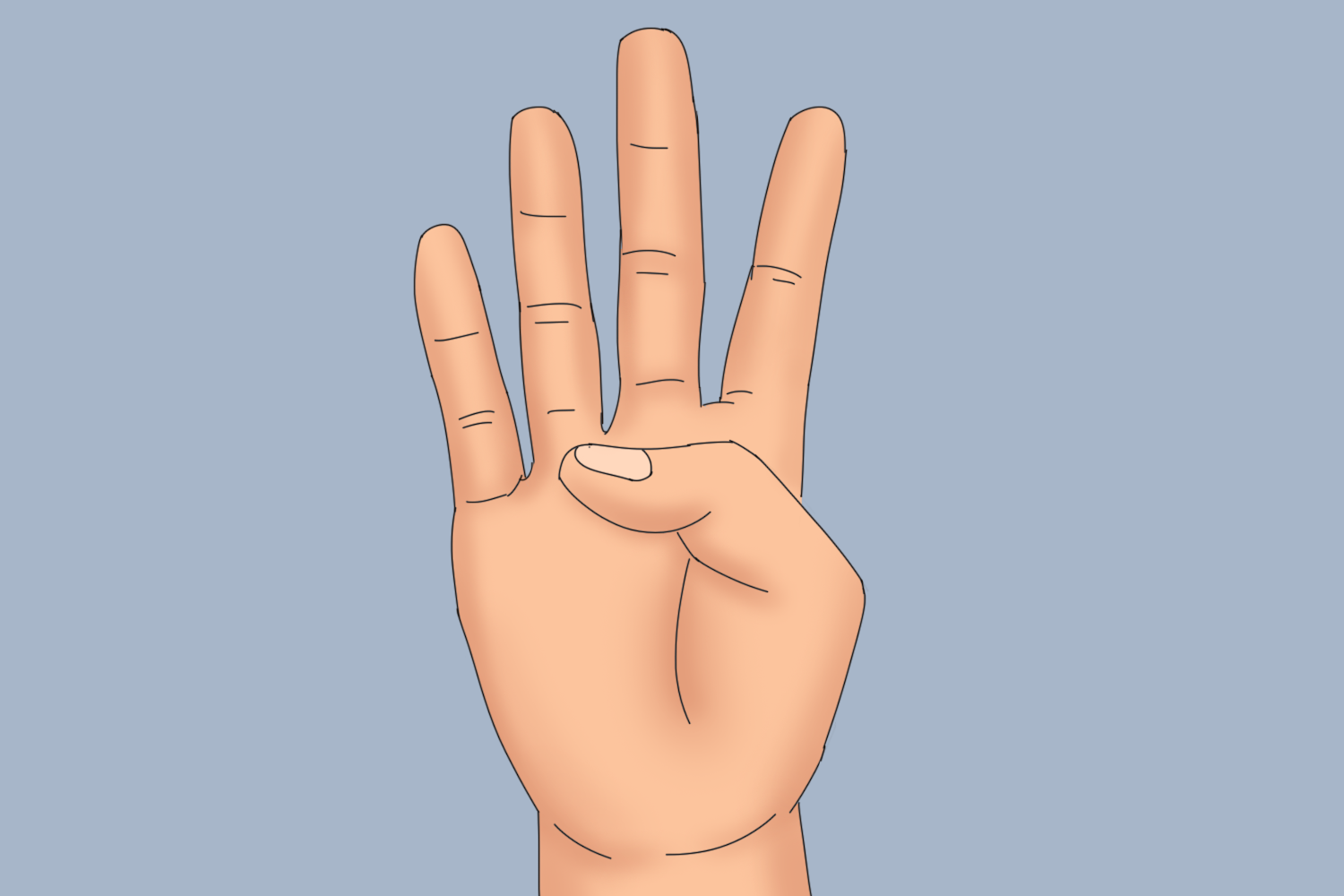 拇指与小指掌指关节相对图 拇指与小指掌指关节相对图