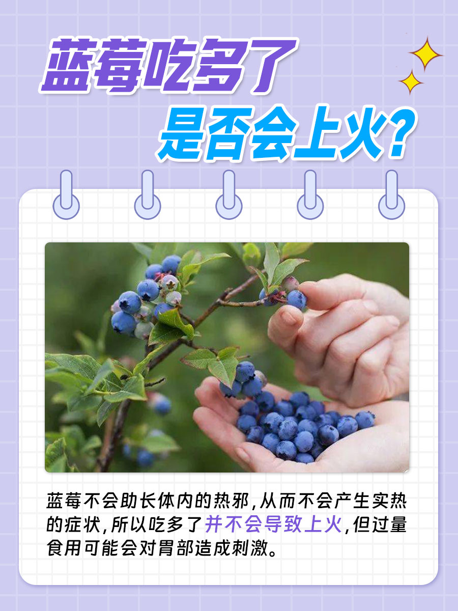 蓝莓过量食用是否会导致上火