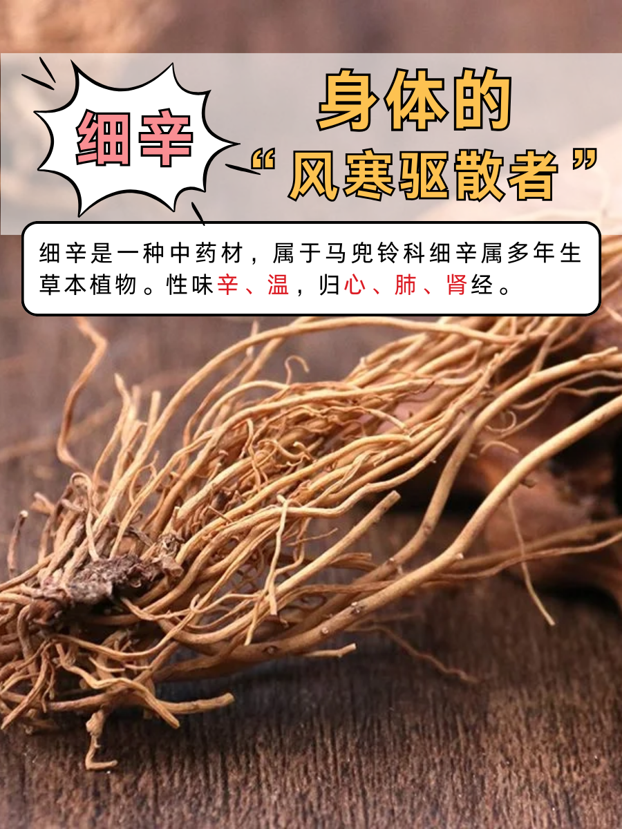 细辛:身体的“风寒驱散者”