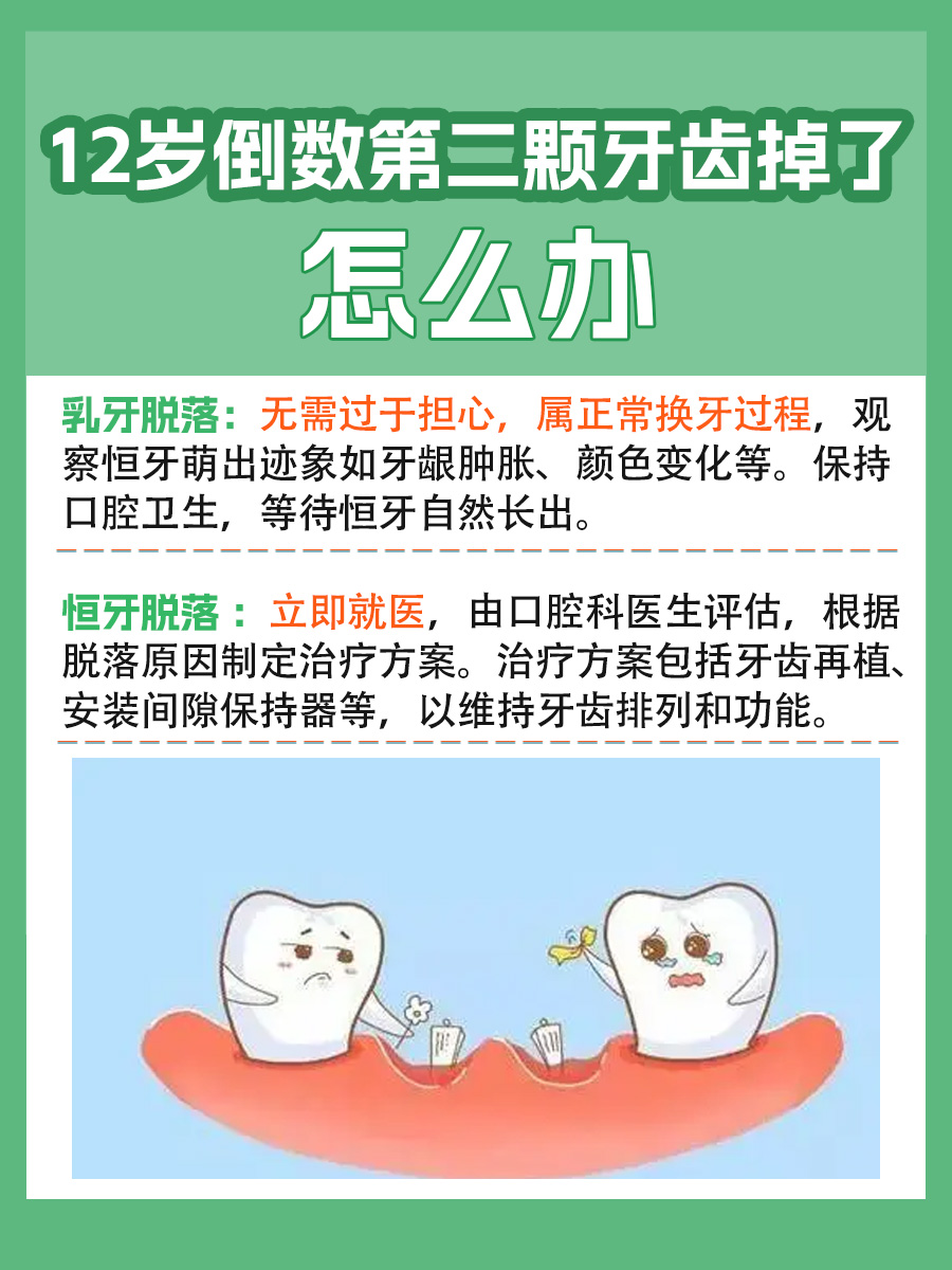 12岁倒数第二颗牙齿掉了怎么办？一文解析