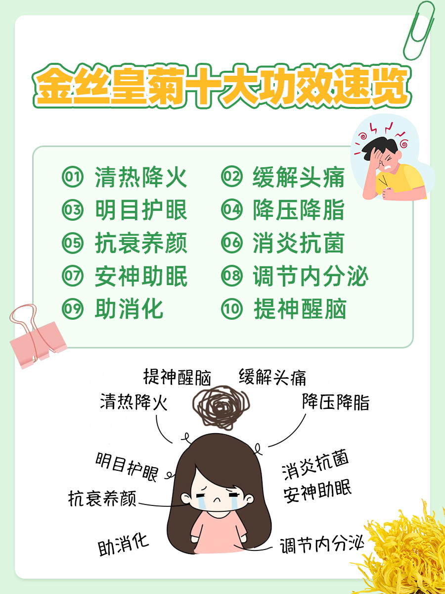 养生必备良药：金丝皇菊，十大功效大盘点！