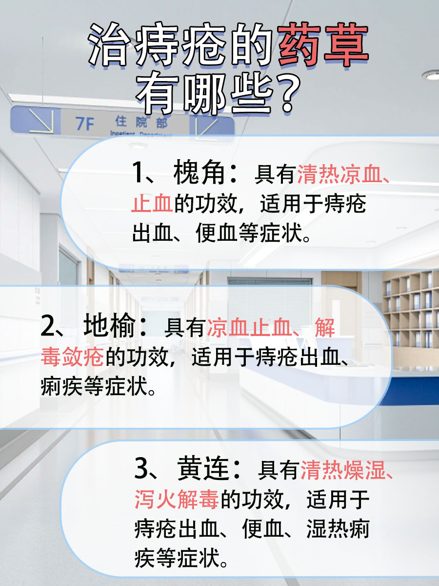 治痔疮最好的一种草？真的有吗？