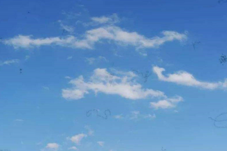 飞蚊症观感图 飞蚊症观感图