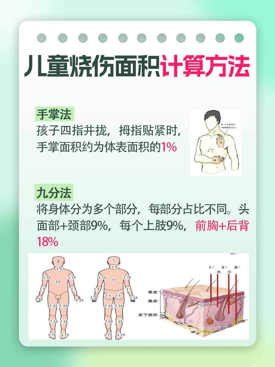 儿童烧伤面积算法大揭秘,一文带你了解!