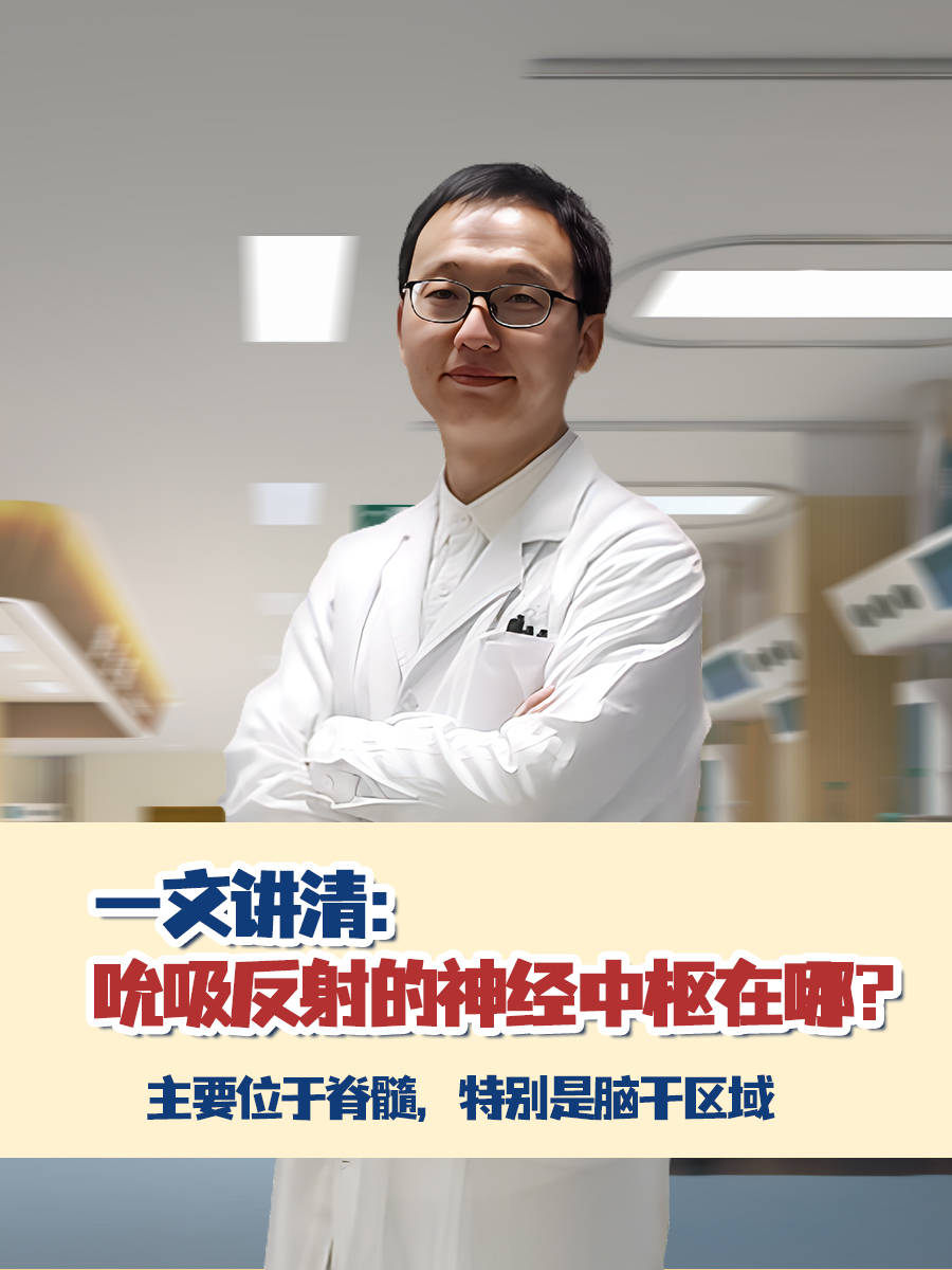 一文讲清：吮吸反射的神经中枢在哪？