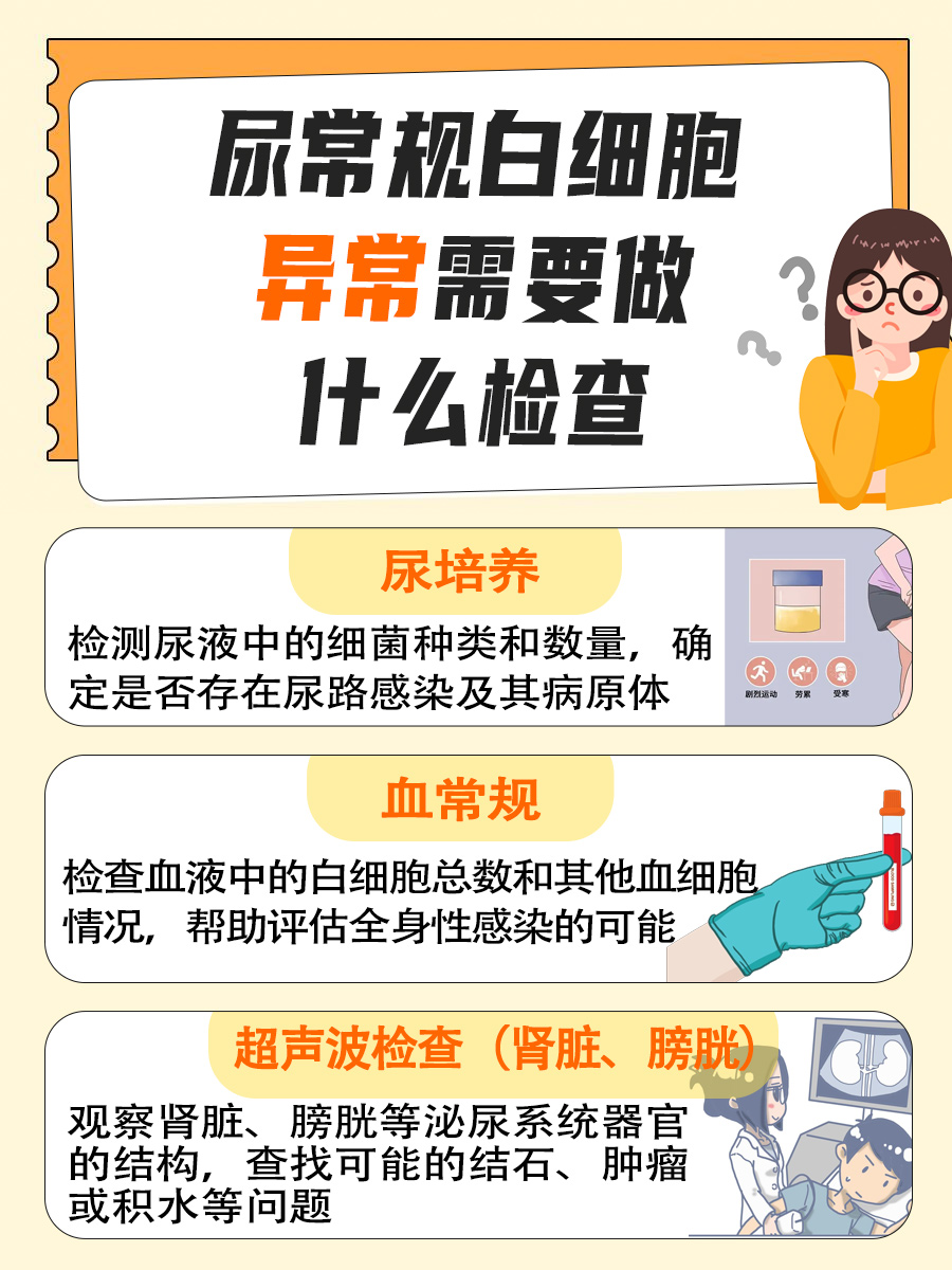 尿常规白细胞正常值：参考范围详解