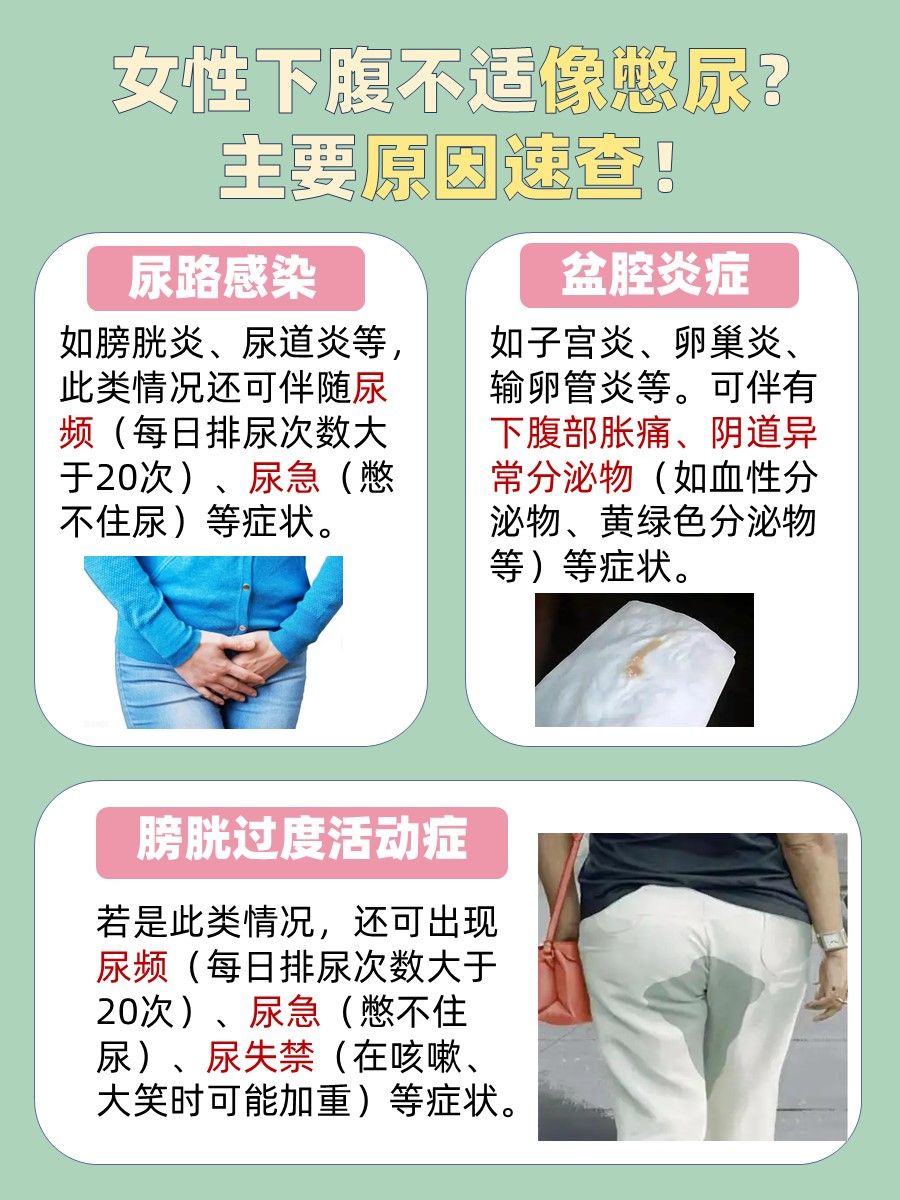 女生必看｜下腹不适像憋尿？原因速查！