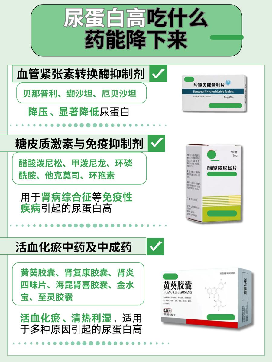 尿蛋白高超标？吃什么药能降下来