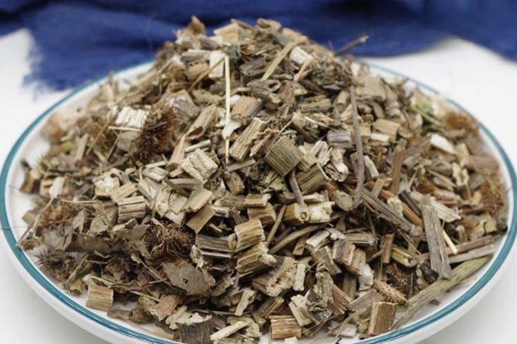 苍耳草药材图