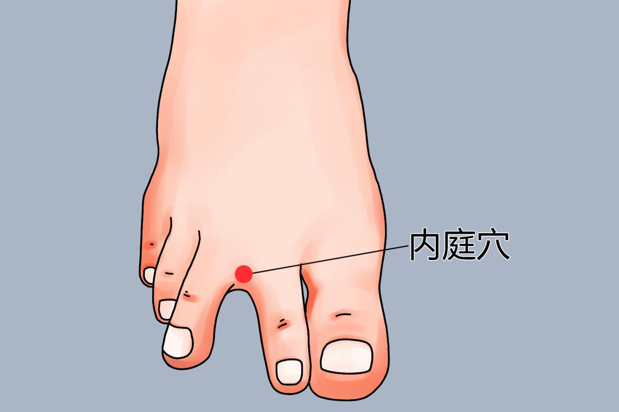 内庭穴位置图