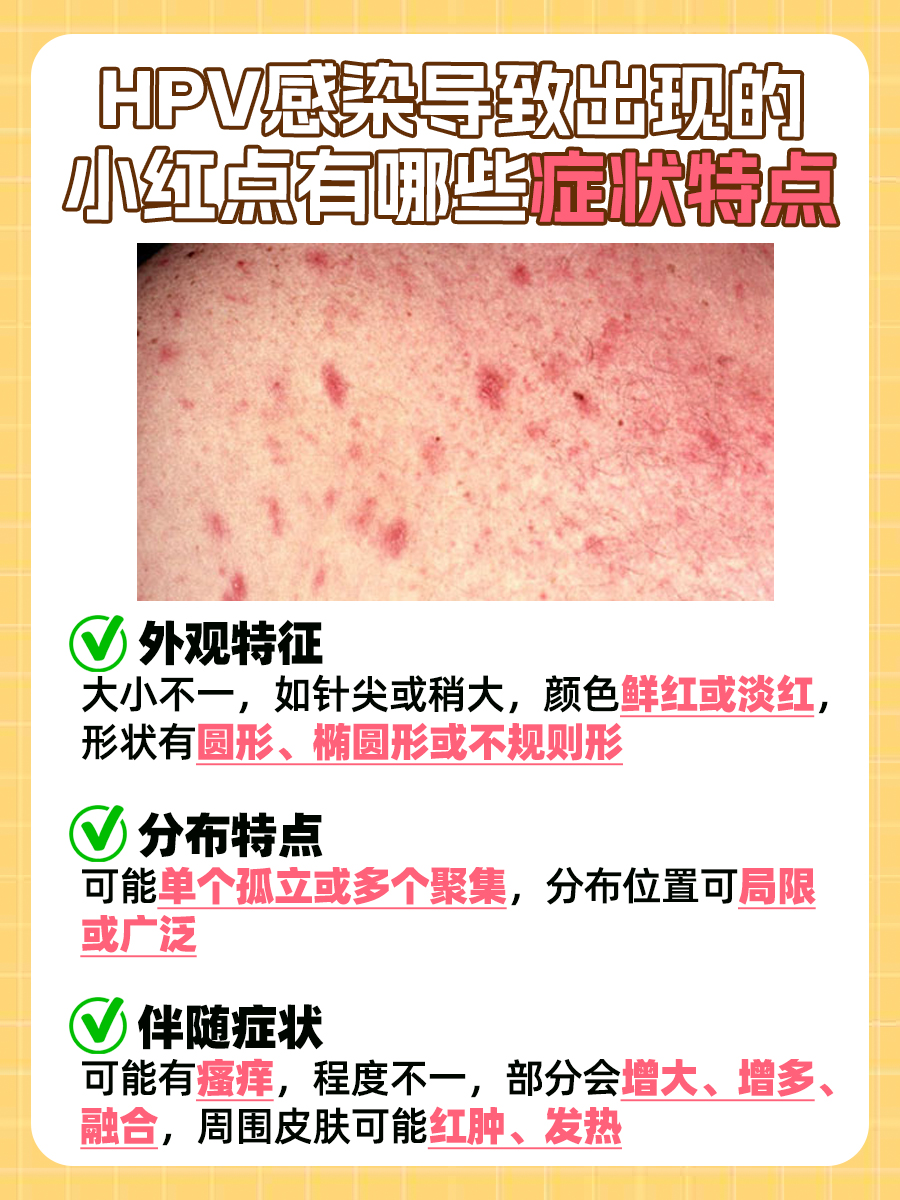 hpv感染小红点图片