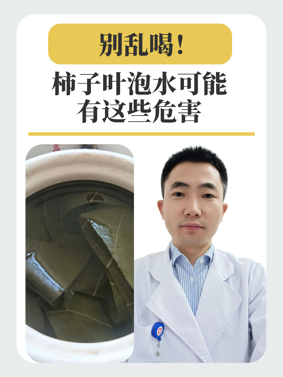 别乱喝！柿子叶泡水可能有这些危害