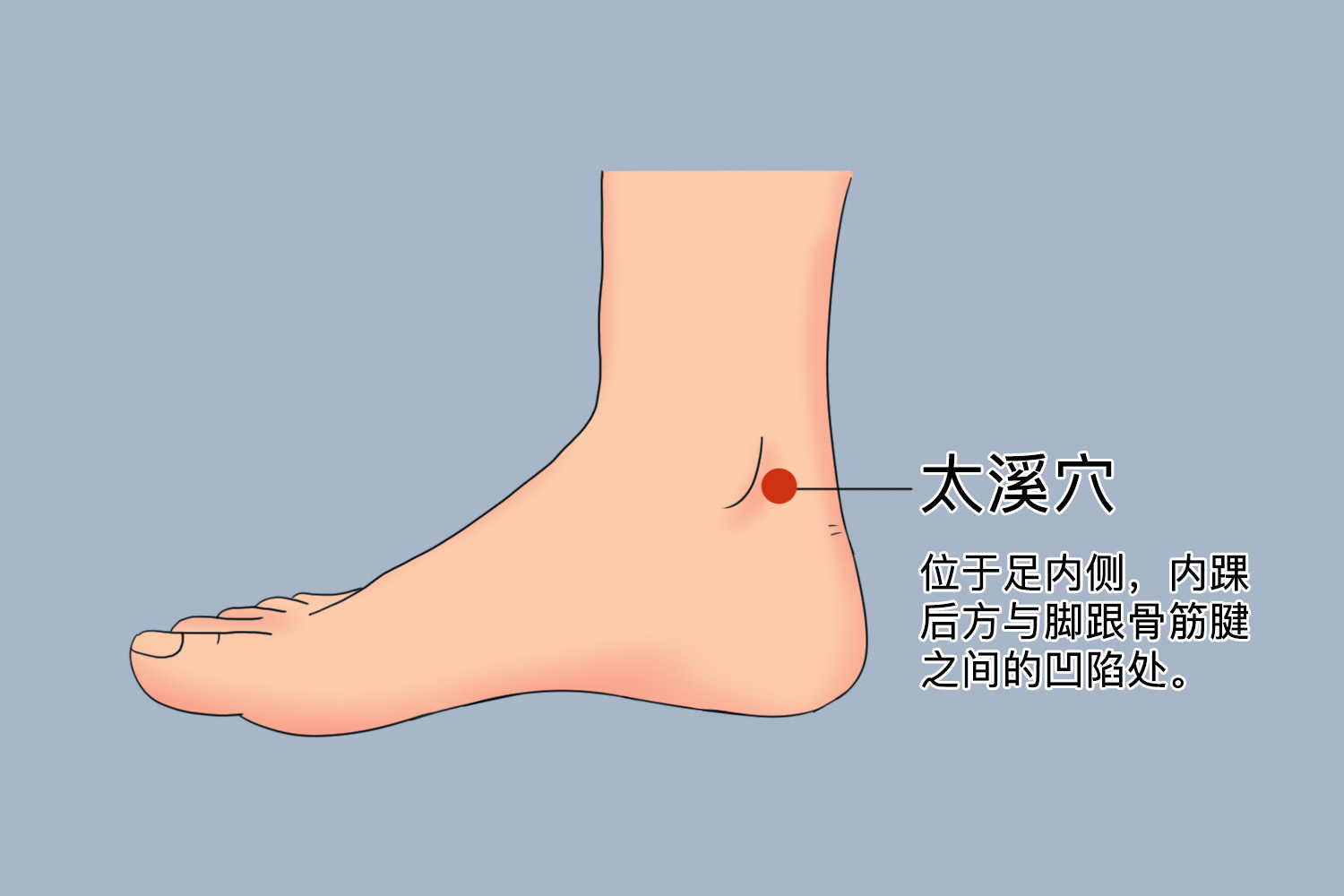 太溪穴位置图