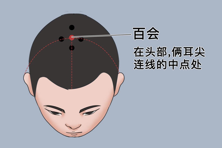 百会穴图