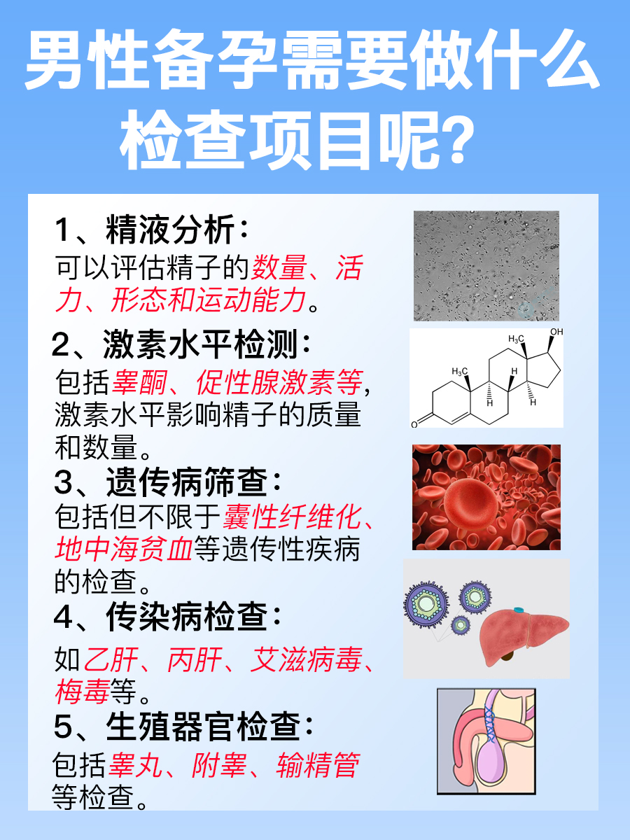 男性备孕全攻略：必做的检查项目清单