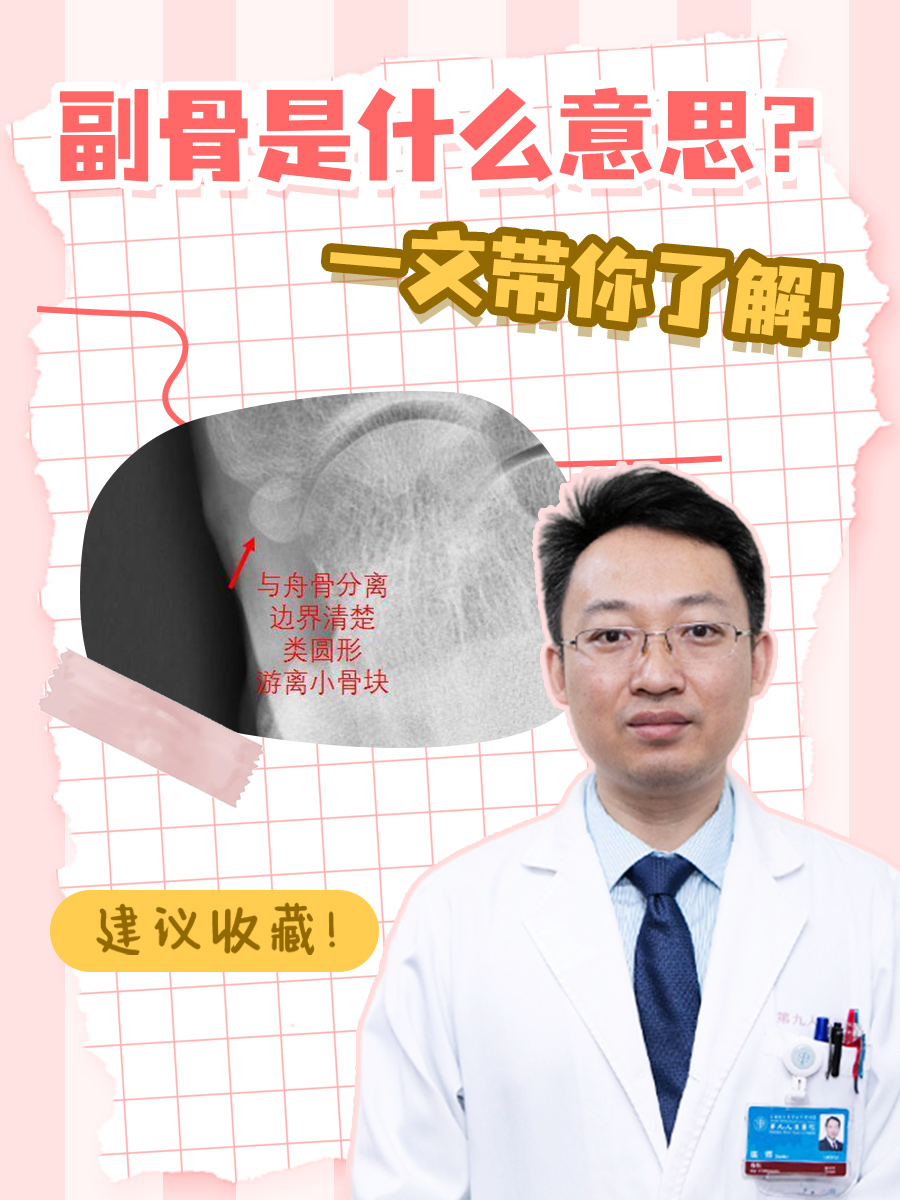 副骨是什么意思？一文带你了解！