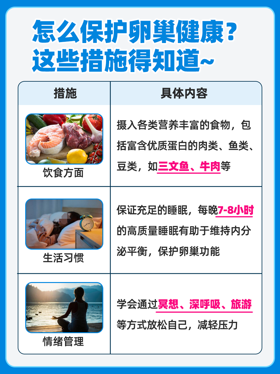 卵巢在哪里位置图片