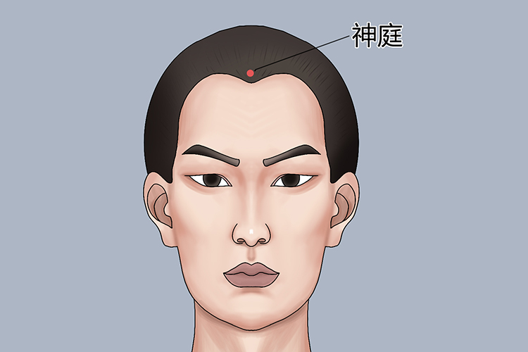 神庭穴位置图
