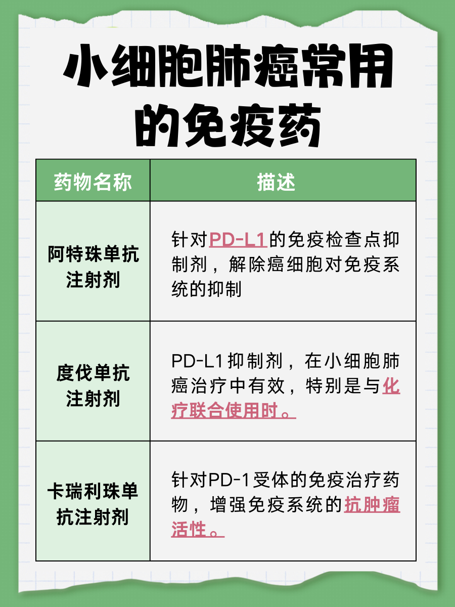 小细胞肺癌的最佳免疫治疗药物：最新研究成果