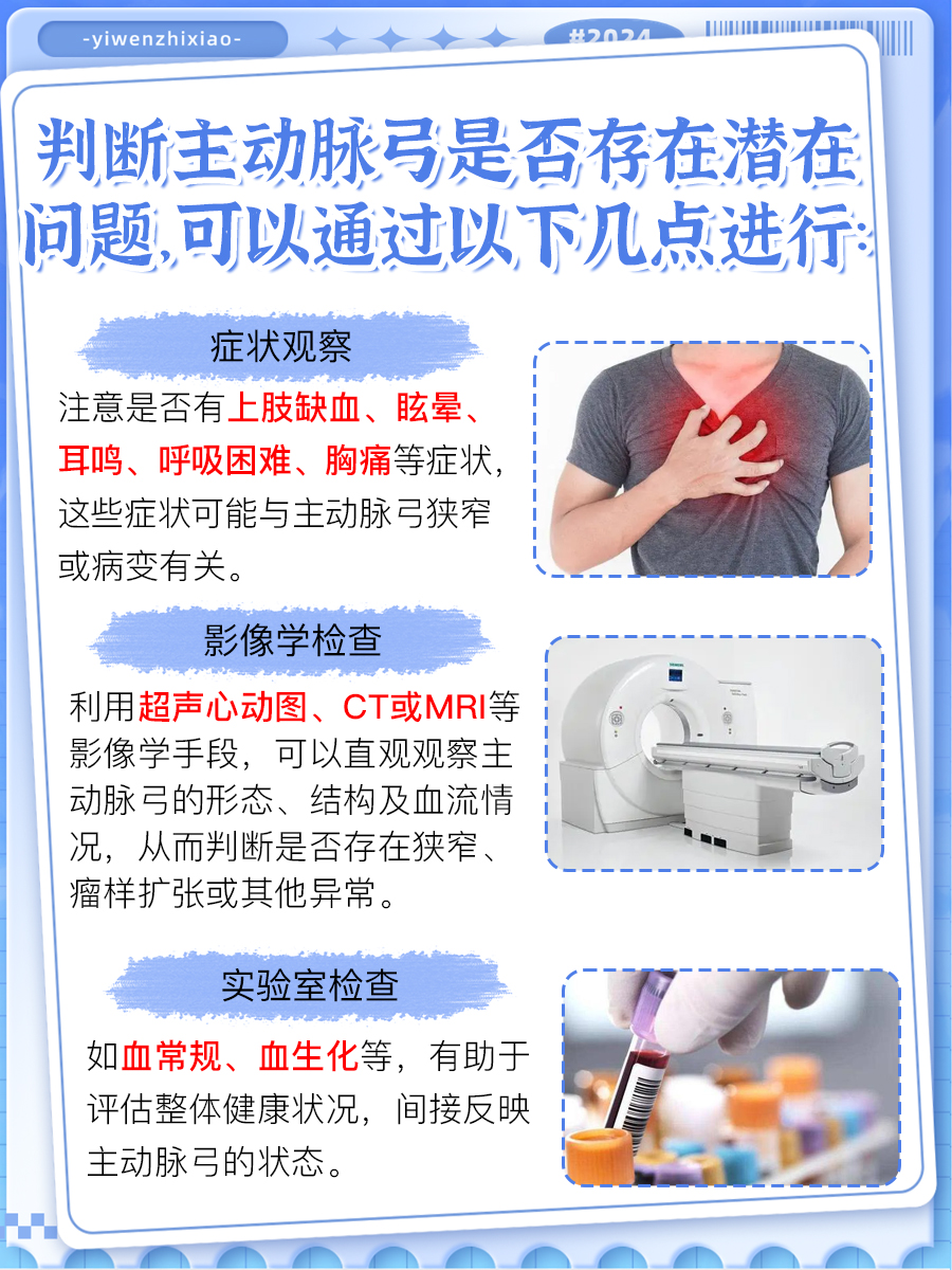 一文解析,主动脉弓在哪个位置