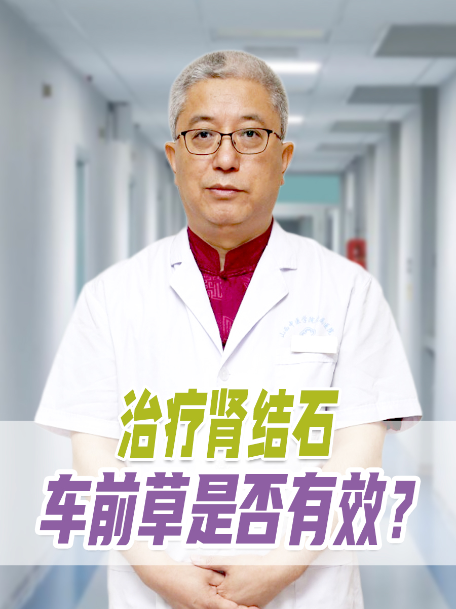 治疗肾结石，车前草是否有效？