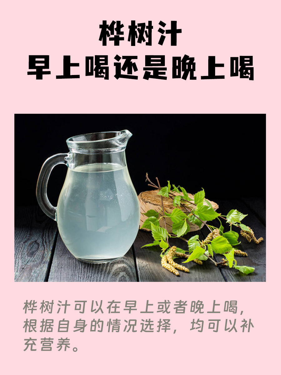 桦树汁的饮用时间：早上还是晚上？
