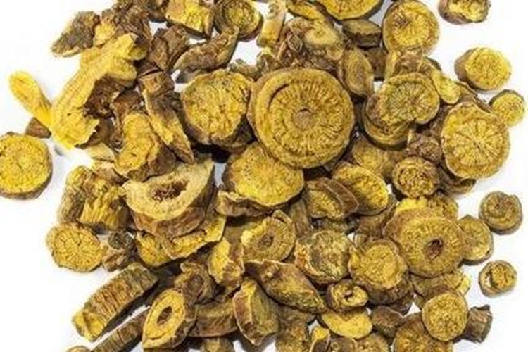 大黄芩饮片图 大黄芩饮片图