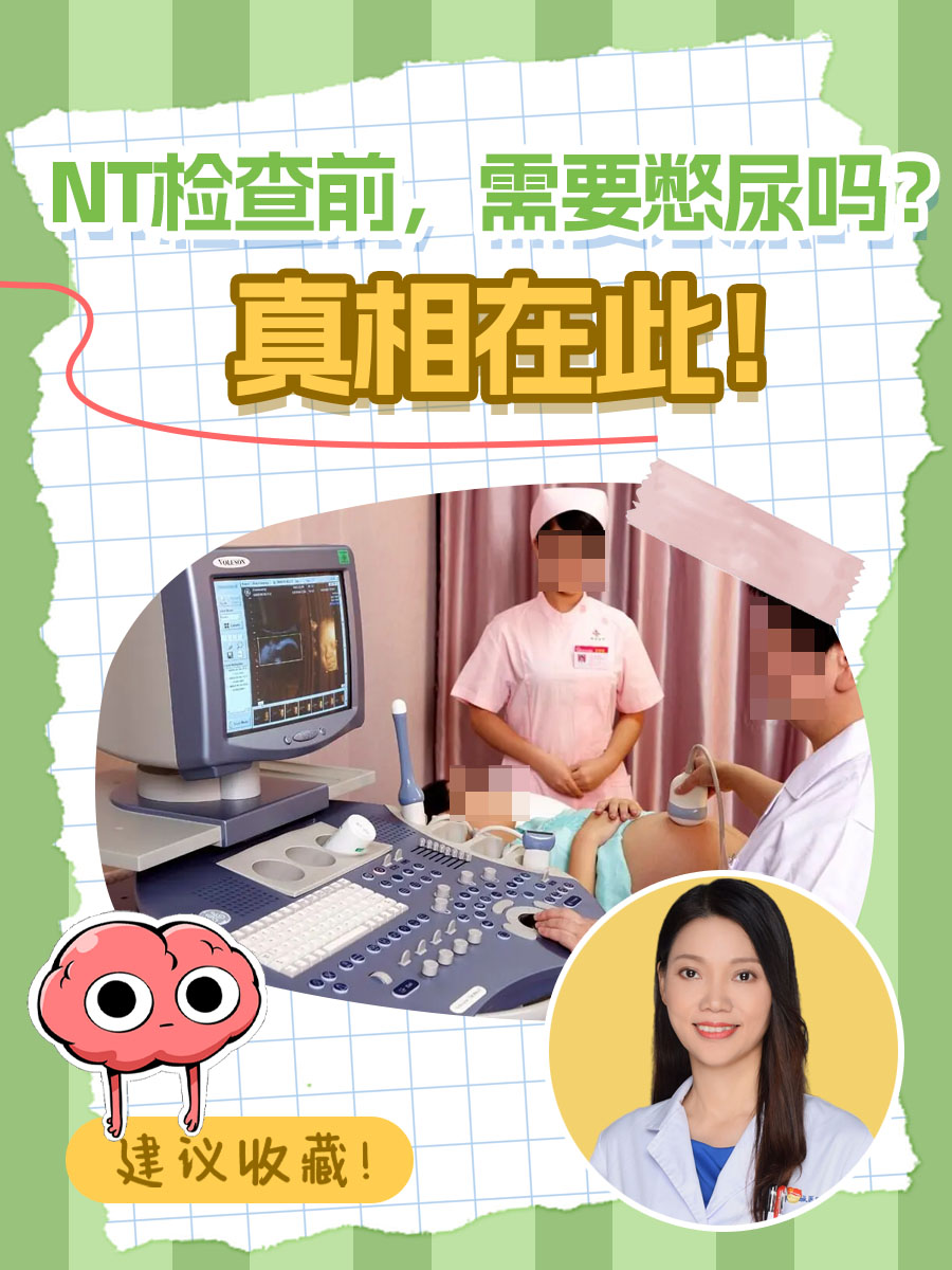 NT检查前,需要憋尿吗?真相在此!