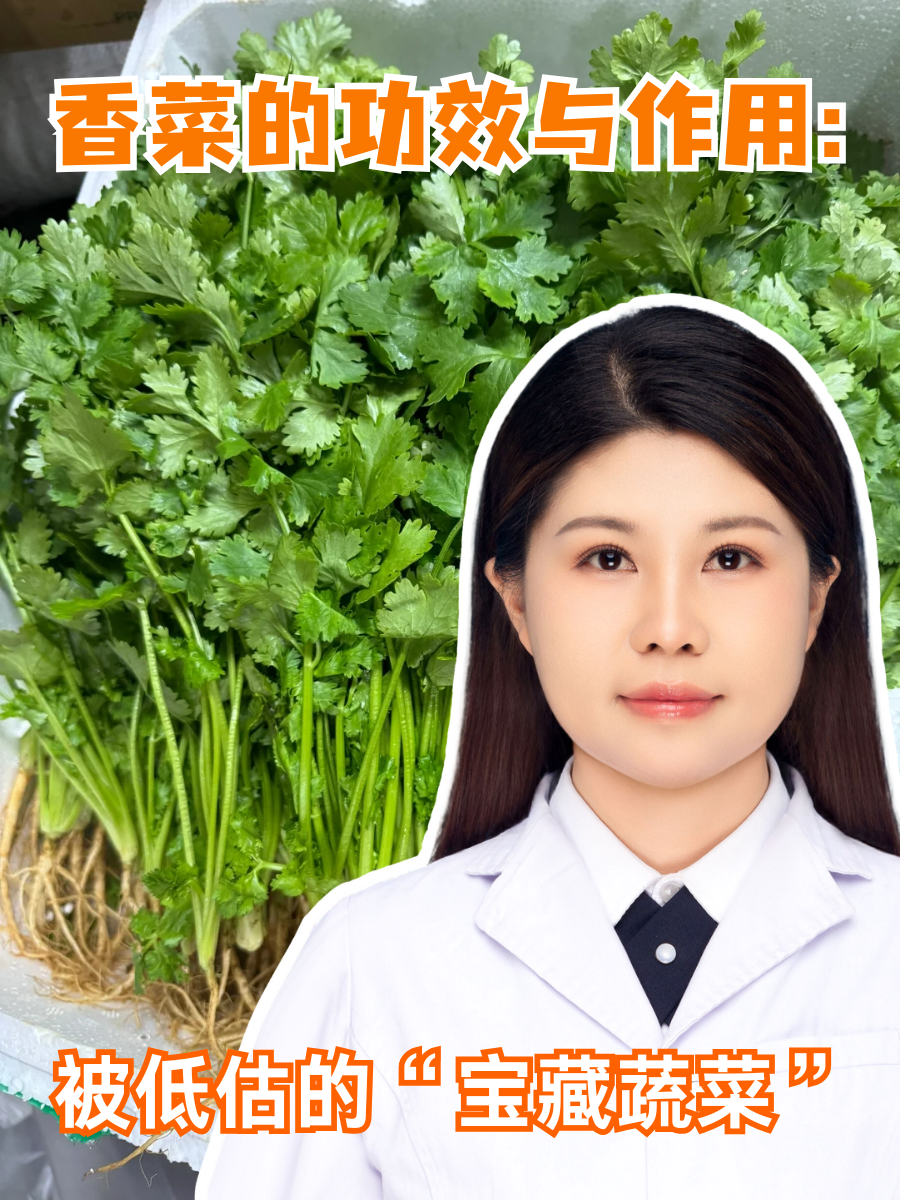 香菜的功效与作用:被低估的“宝藏蔬菜”