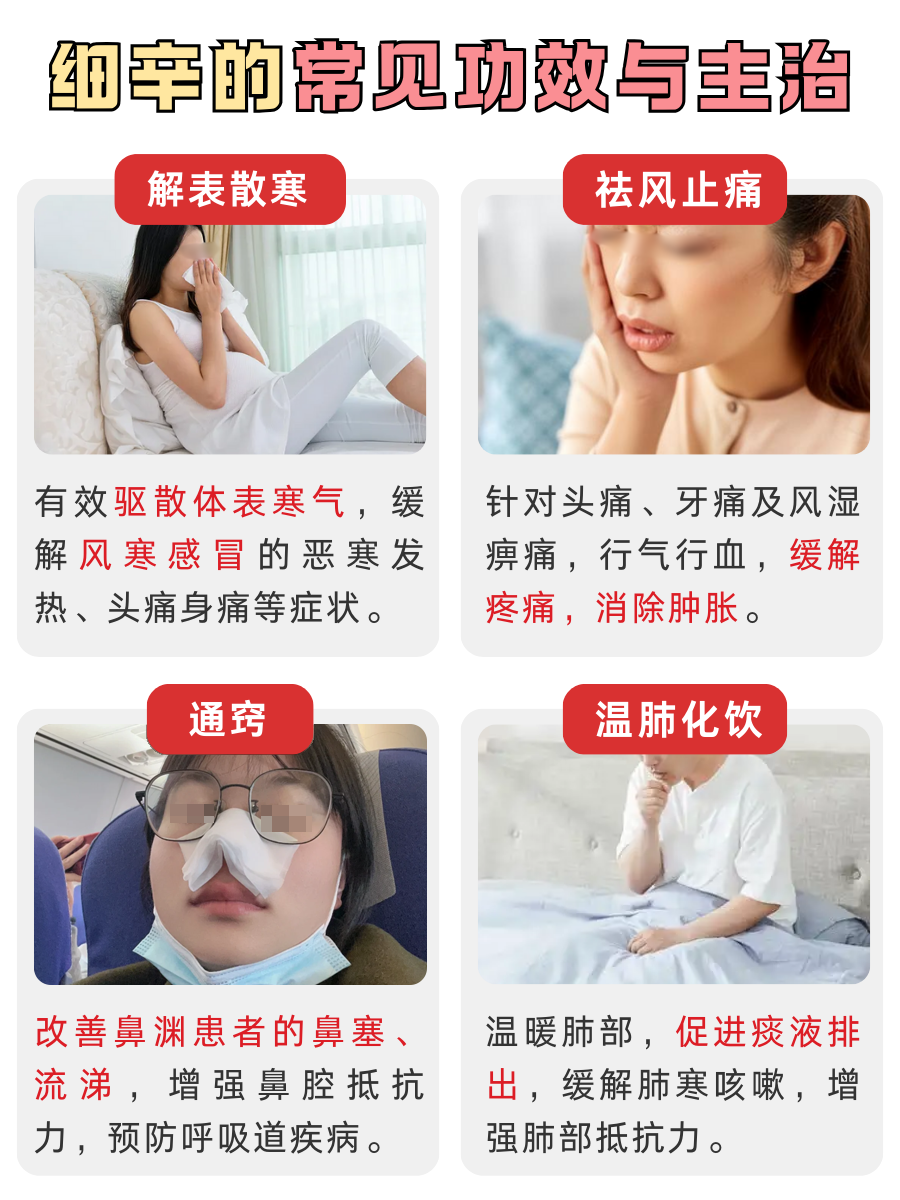 细辛:身体的“风寒驱散者”