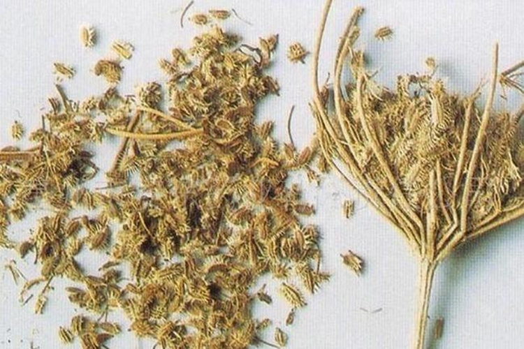 小窃衣成药图 小窃衣成药图