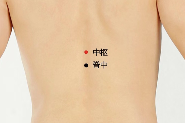 中枢穴图 中枢穴图
