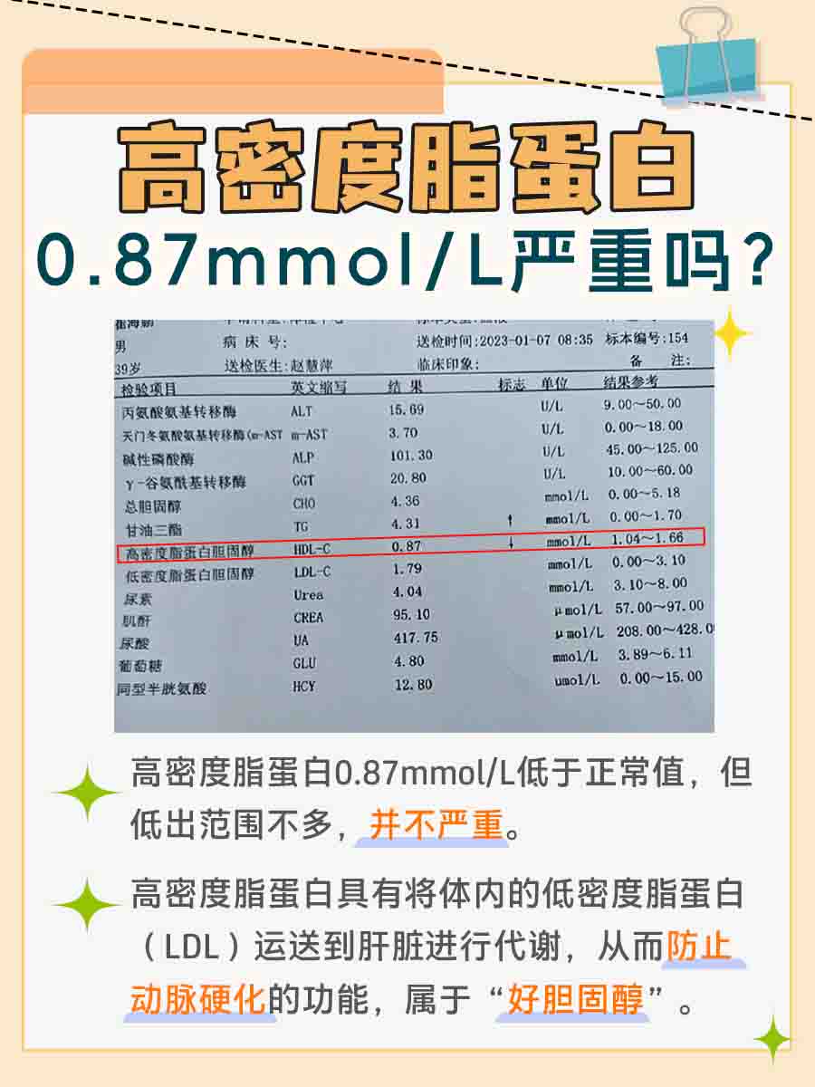 揭秘:高密度脂蛋白0.87是否严重?