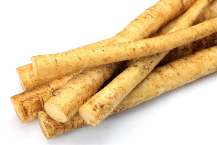 牛蒡药材外观图