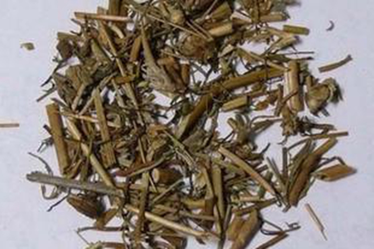 角茴香干燥后图