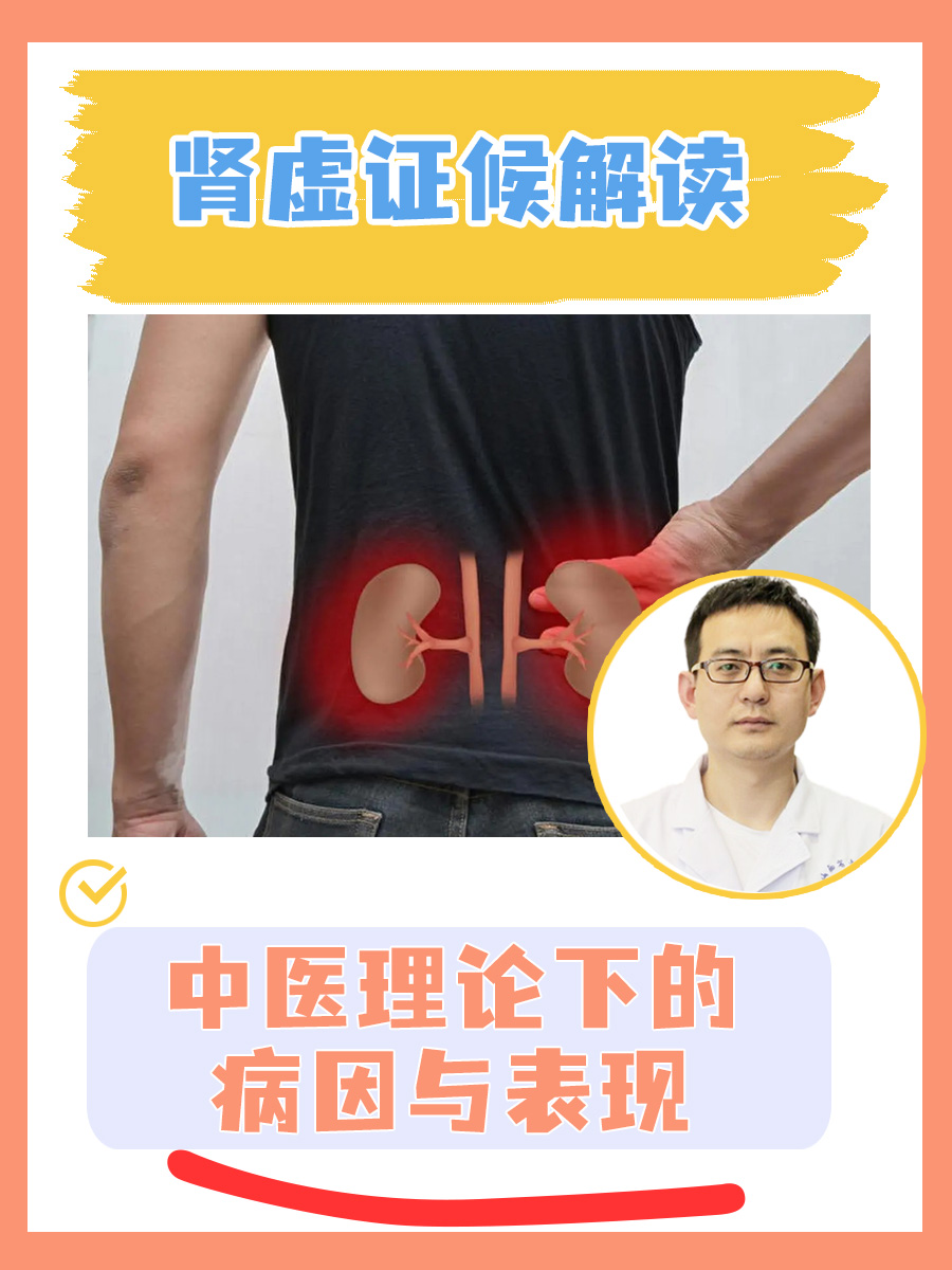 肾虚证候解读：中医理论下的病因与表现