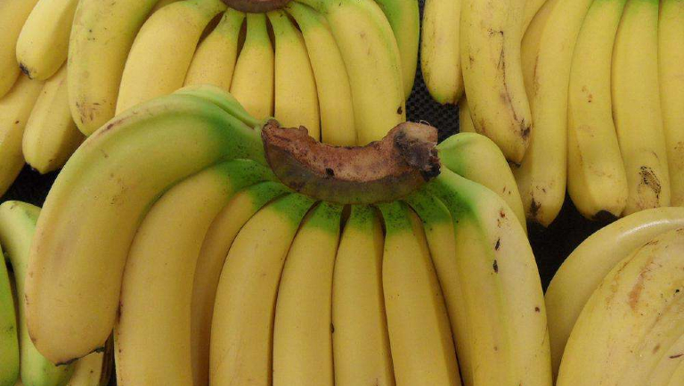 手足口病能不能吃香蕉