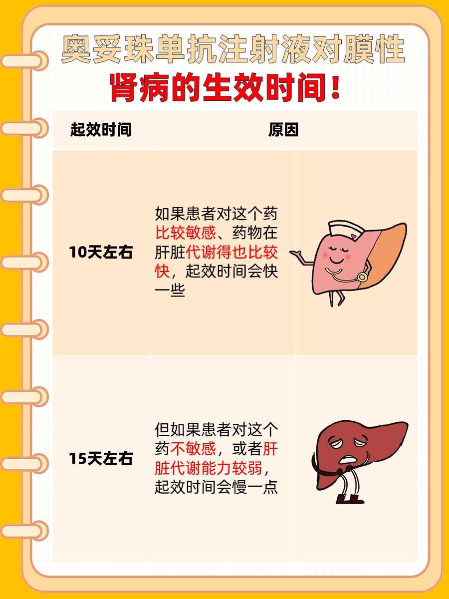 奥妥珠单抗注射液治疗膜性肾病：多久见效？