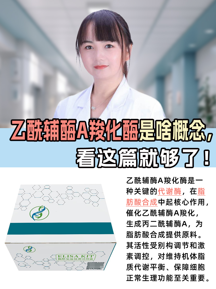 乙酰辅酶A羧化酶是啥概念，看这篇就够了！